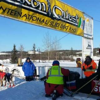@theyukonquest La carrera de mushing Yukon Quest 2015, puede seguirse en vivo desde su página.