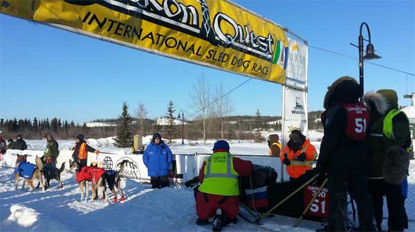 @theyukonquest La carrera de mushing Yukon Quest 2015, puede seguirse en vivo desde su página.