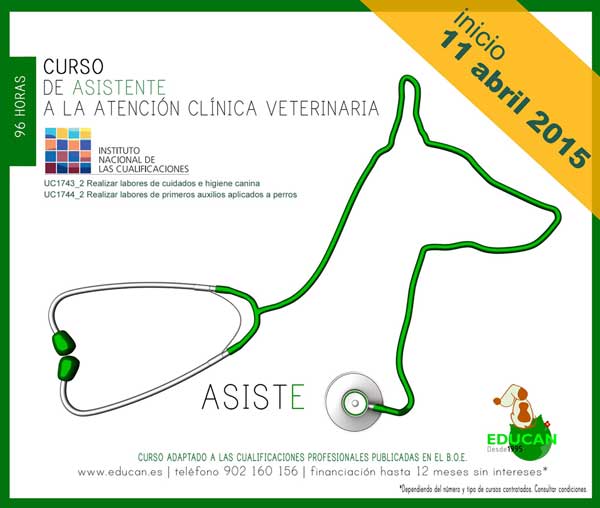 Nueva convocatoria del curso de Asistente a la Atención Clínica Veterinaria [ATV], que cumplimenta los requisitos de las Cualificaciones Profesionales.