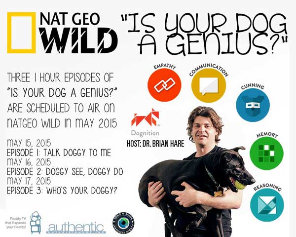 ¿Es tu perro un genio? Dognition en National Geographic Wild.