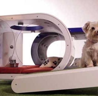 Dream Doghouse es una "Casa de lujo" para perros... que cuesta 27.000 euros.