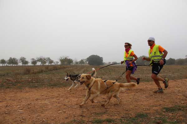 La I Carrera de Alfamén-Ruta de Altomira con perros de tiro, se celebrará los próximos 21 y 22 de marzo.