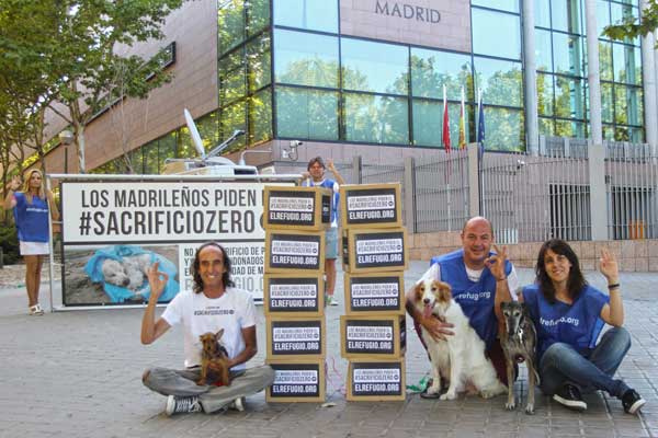 Día histórico en la Comunidad de Madrid el Sacrificio Cero de animales abandonados se debatirá en el pleno de la Asamblea de Madrid.
