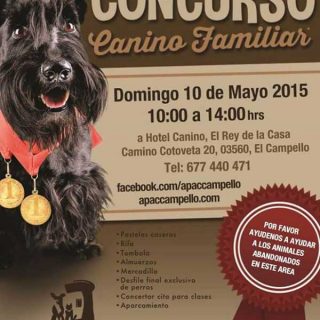 Concurso Canino en Campello, para promover la adopción de perros en la zona.