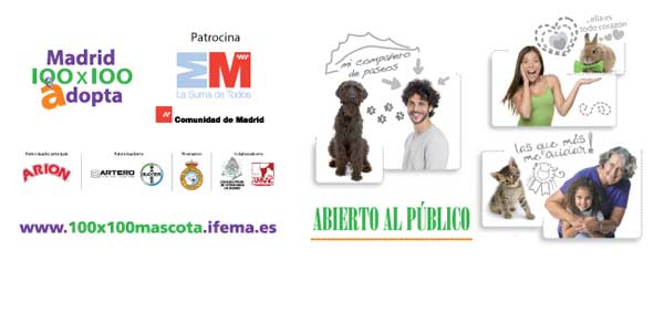 Taller de lectura con perros en 100 X 100 Mascota.