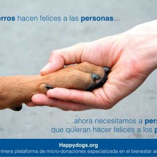 @HappyDogsorg es la primera plataforma de micro-donaciones de España especializada en el bienestar animalHappydogs.org es la primera plataforma de micro-donaciones de España especializada en el bienestar animal.
