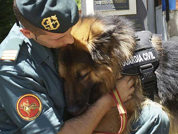 @retireddogs112. Adoptar perros jubilados de la policía o de unidades caninas es posible gracias a Retired Dogs 112.