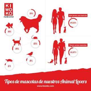 1 de cada 3 familias en España tienen más de un animal en casa, pero el perro es el favorito