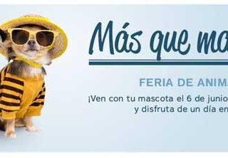 En Equinoccio /C/ de la Fresa, 2, 28220 Majadahonda, Madrid), se celebrará el próximo sábado 6 de junio, entre 12:00 y 19:00 horas "Más que mascotas", con numerosos eventos (ver programa a continuación).