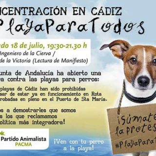 La Junta de Andalucía amenaza con multar a los Ayuntamientos que permitan perros en sus playas durante el verano.