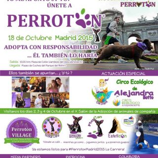 43 asociaciones de protección animal solicitan a los organizadores de “Perrotón Madrid 2015” la donación INTEGRA de lo obtenido en el evento a una asociación independiente de la organización.