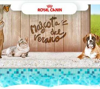 #mascotadelverano2015 Cuarta edición del concurso fotográfico Royal Canin.