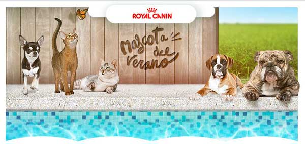 #mascotadelverano2015 Cuarta edición del concurso fotográfico Royal Canin.