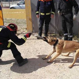 Curso de figurantes-preparadores de perros de rescate, en Madrid