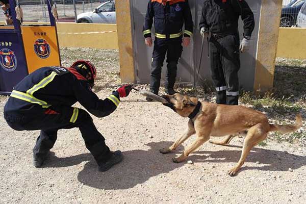 Curso de figurantes-preparadores de perros de rescate, en Madrid