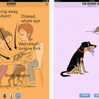 Dog decoder, app para aprender el lenguaje de los perros