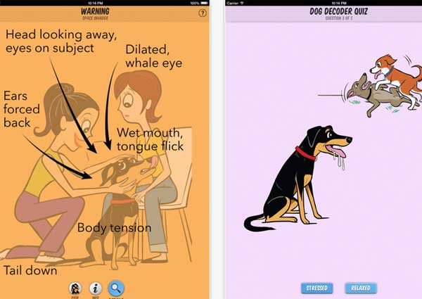 Dog decoder, app para aprender el lenguaje de los perros