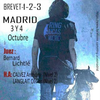Concurso de Ring Francés, próximo mes de octubre en Madrid.