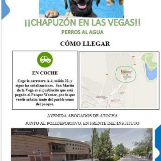 Piscina para #perros: Se celebra la primera edición de ¡Chapuzón en las Vegas! en la piscina municipal de San Martin de la Vega.