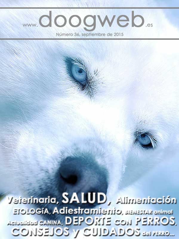 Revista gratis de doogweb, septiembre 2015.