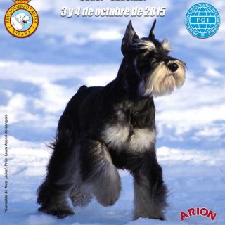 32 Exposición Canina Internacional de Otoño, próximo fin de semana en Talavera de la Reina.