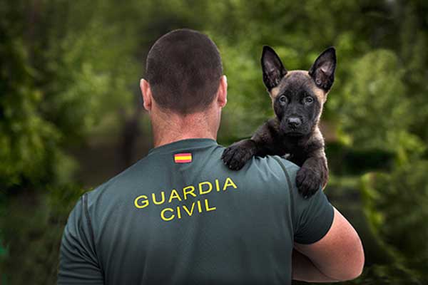 #Fotografía. #Perros. Un Guardia Civil y su perro, ganan el concurso fotográfico de EUROPOL.