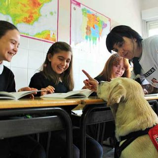 Bajo el lema “Aprender Juntos es Mejor” PURINA, en colaboración con CTAC, organiza diversas jornadas de educación asistida con #perros para mostrar sus beneficios en el aprendizaje de los niños.