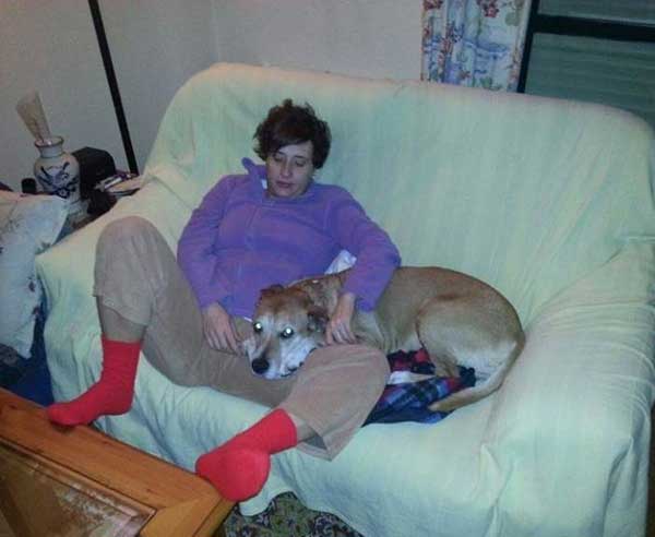 Un año desde la muerte de Excálibur, "el perro del ébola"