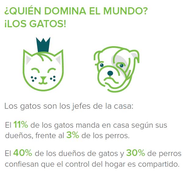 @houzz El 82% de los dueños de mascotas son más felices gracias a ellas, según el estudio “Las mascotas y el hogar” de Houzz.