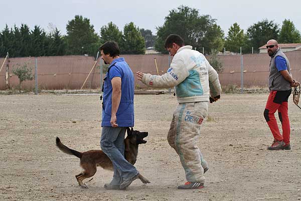 Ring francés, concurso de Ring UCAS Madrid 2015