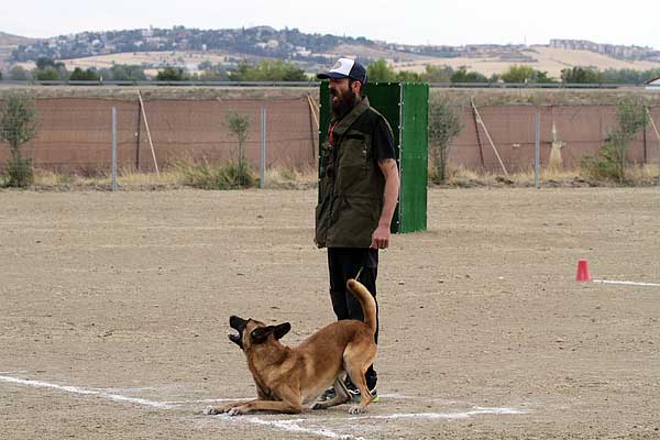 Ring francés, concurso de Ring UCAS Madrid 2015