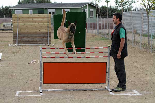 Ring francés, concurso de Ring UCAS Madrid 2015