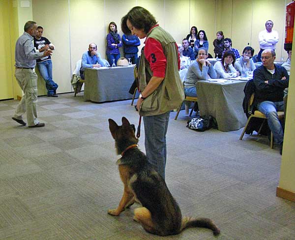 5 profesiones (con #perros) que tienen futuro.