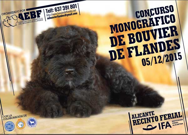 Próximo fin de semana: Exposición Nacional e Internacional Canina de Alicante 2015 (y muchas concursos y monográficos).