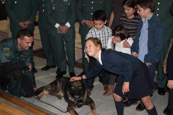 Calendario Down Madrid-Guardia Civil 2016