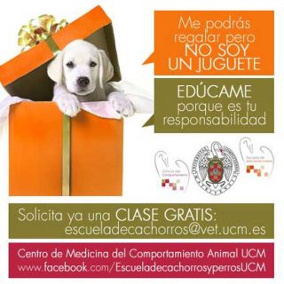 Escuela de cachorros de la UCM, clase gratis