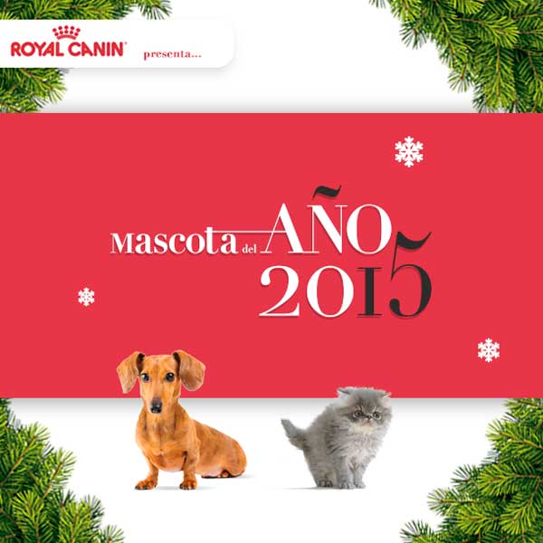 #mascotadelaño2015 Royal Canin organiza por segundo año consecutivo el concurso fotográfico Mascota del Año.