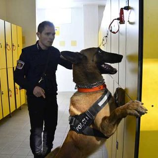 La Policía Local de Benicarló se alza con el primer puesto en el Campeonato de perros detectores de sustancias de la UCAN de Vila-real.