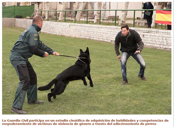 La Guardia Civil participa en un estudio científico de adquisición de habilidades y competencias de empoderamiento de víctimas de violencia de género a través del adiestramiento de #perros.