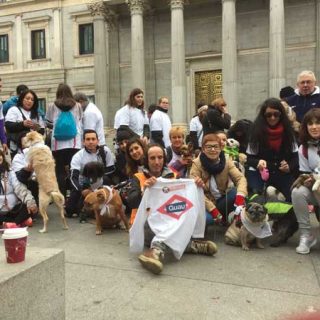 600 #perros vuelven a tomar las calles de Madrid por quinto año consecutivo en la #Sanperrestre.