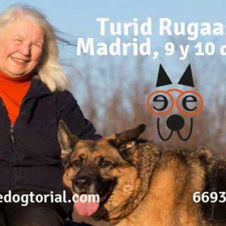 Seminario de Turid Rugaas en Madrid (doble): "Introducción del perro rescatado en su nuevo hogar" y "Resolución de problemas".