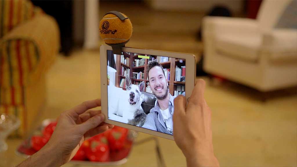 Pet selfie, un gadget perruno muy práctico