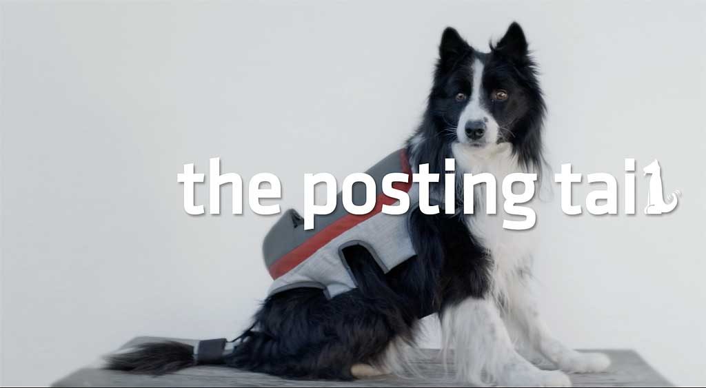 The-Posting-Tail