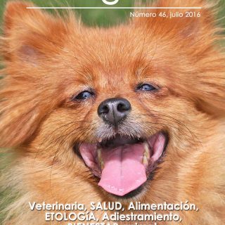 Revista gratis doogweb nº 46, julio 2016