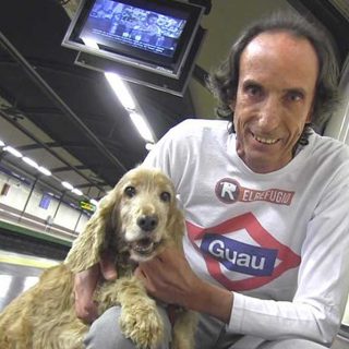 Los perros en el metro de Madrid podrán viajar libre y gratuitamente por toda la red