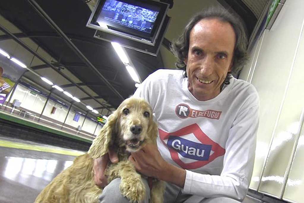 Los perros en el metro de Madrid podrán viajar libre y gratuitamente por toda la red