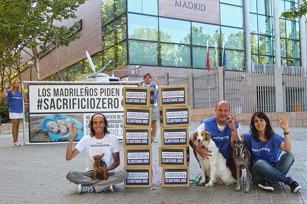 La ley que aprobará el #sacrificiozero de perros y gatos abandonados entra de pleno en la Asamblea de Madrid.