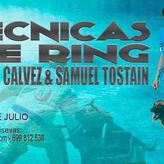 Los próximos días 22, 23 y 24 de julio tendrá lugar en Madrid el primer seminario de Técnicas de Ring organizado por el club Ring UCAS Madrid.