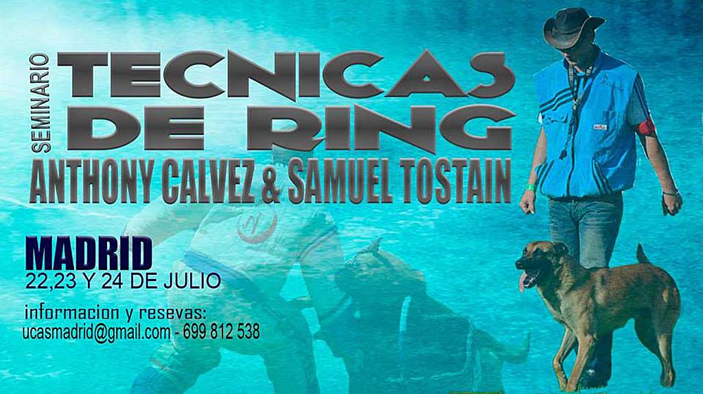 Los próximos días 22, 23 y 24 de julio tendrá lugar en Madrid el primer seminario de Técnicas de Ring organizado por el club Ring UCAS Madrid.