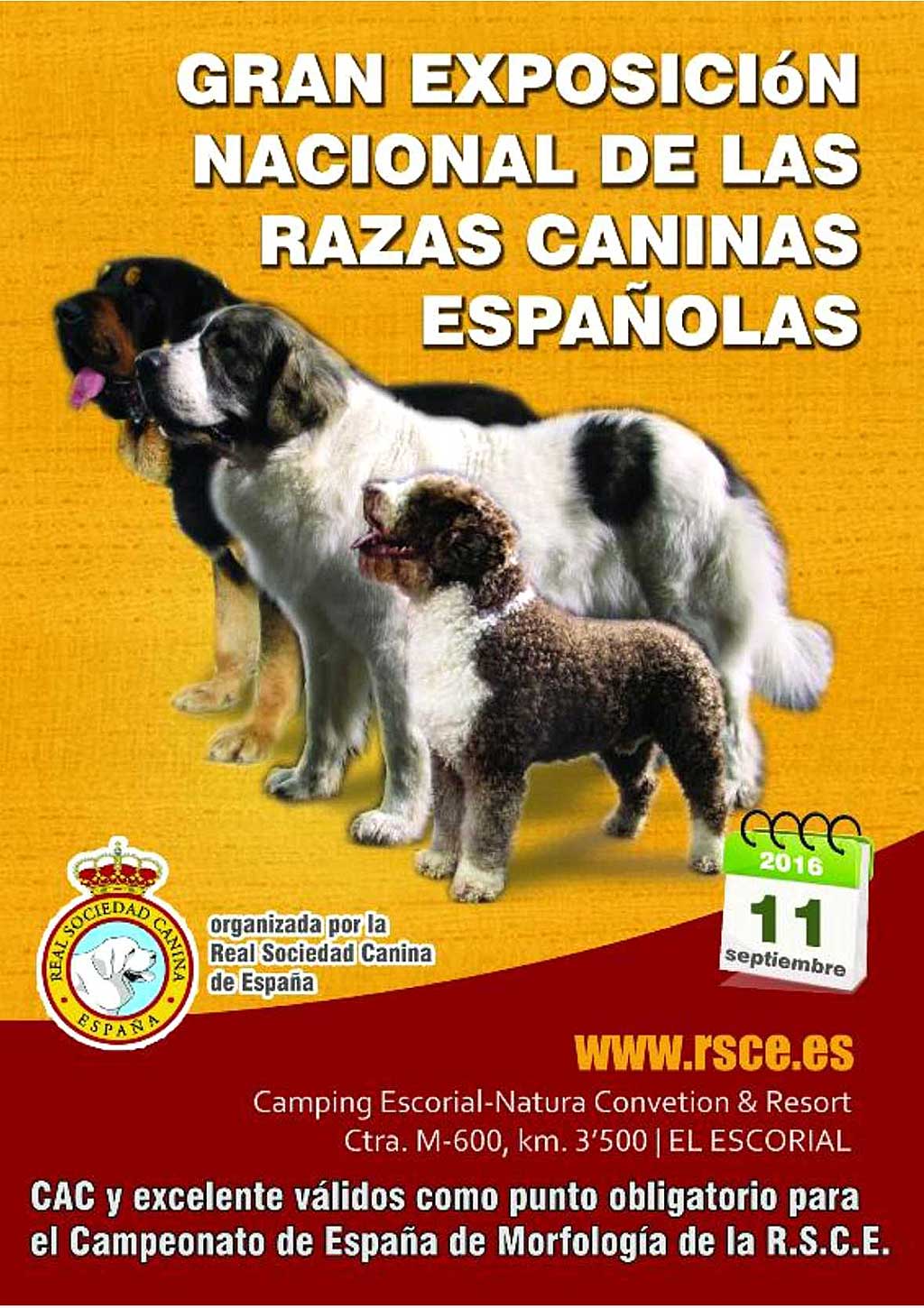 expo-canina-escorial-2016